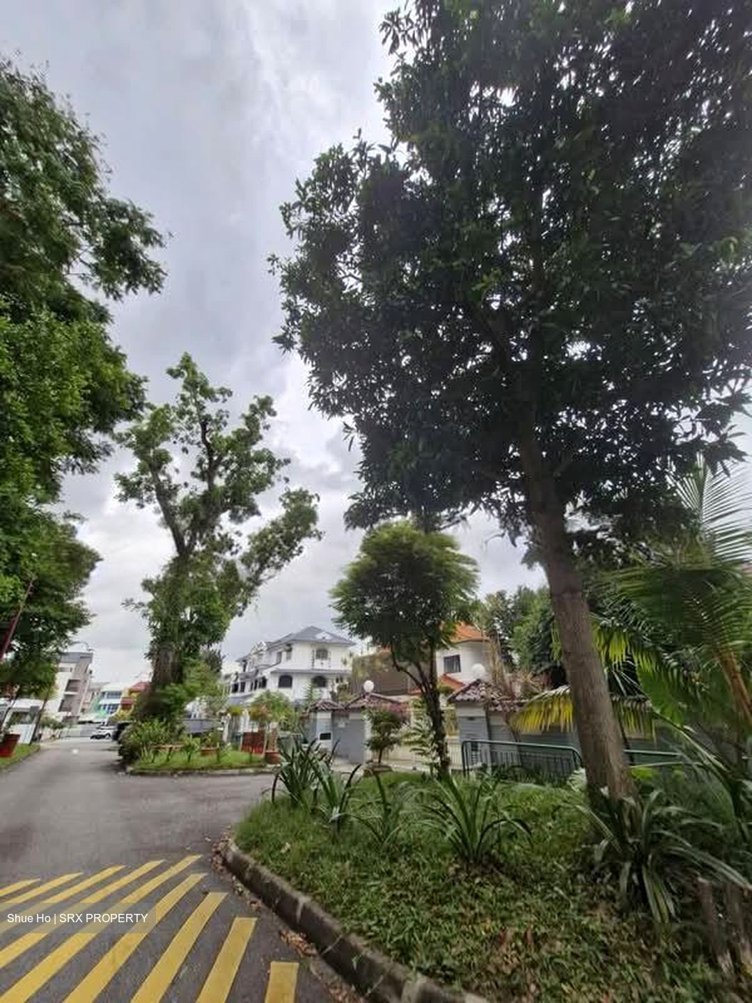 Florence Road (D19), Detached #595841981